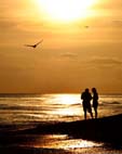 Attract Your SoulMate