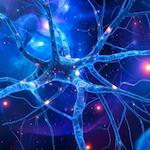 The Focused Mind: Deep Work, Distraction and the Neuroscience of Concentration