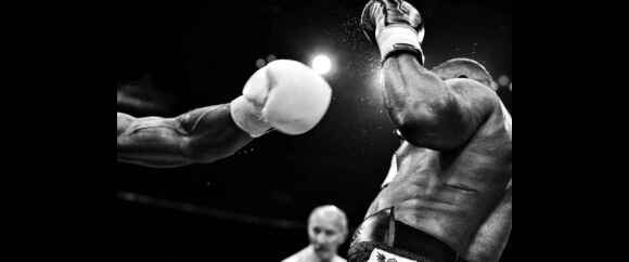 boxing Header