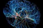 The Theta State: Your Brain’s Natural Doorway Into Deep Sleep