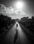 The Difference Between Grief and Depression - Why Misidentifying It Leads to the Wrong Help