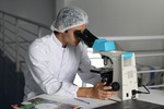 scientific studies