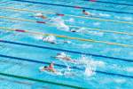 Race Execution in Swimming: Why Swimmers Abandon Their Strategy When It Matters Most