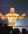 Ric Flair 'The Nature Boy'