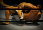 fight
